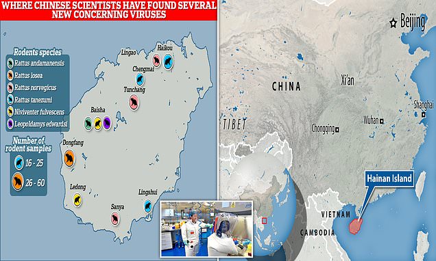 www.dailymail.co.uk