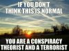 chemtraiil_meme_conspiracy_terrorist.jpg