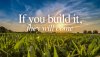 if-you-build-it-1288x724.jpg