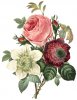 victorian-flowers-drawing-1.jpg