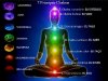 reiki-chakras-meanings-263708-1.jpg