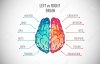 101017181-left-and-right-human-brain-concept-creative-part-and-logic-part-with-social-and-busi...jpg
