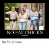 no-fat-chicks-its-the-law-no-fat-chicks-2746107.png