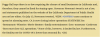 Screenshot_2020-07-15 Peggy Hall Says California Governor's Closure of Businesses Is Not Backe...png