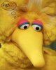 big bird.jpg