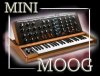 moog.jpg