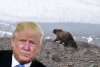 trumpalaska.jpg