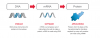 Screenshot_2020-12-19 mRNA Platform Enabling Drug Discovery Development.png