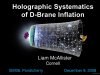 holographic-systematics-of-d-brane-inflation-l.jpg