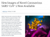 Screenshot 2021-08-12 at 20-07-49 New Images of Novel Coronavirus SARS-CoV-2 Now Available.png