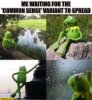 me-waiting-for-the-common-sense-variant-to-spread-kermit-the-frog.jpg