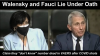 Screenshot 2022-01-13 at 23-58-47 Fauci and CDC Director Rochelle Walensky Lie Under Oath Rega...png