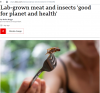 2022-04-26 20_37_39-Lab-grown meat and insects 'good for planet and health' - BBC News - Opera.png