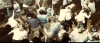 Screenshot 2022-06-04 at 14-28-01 Kingsman church fight scene -with rock music.png