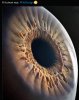 human eye.jpg