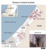 Gaza_Hamas_tunnels.jpg