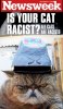 racist-cat2.jpg