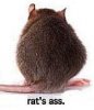 rats ass.jpg