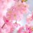 CherrieBlossoms