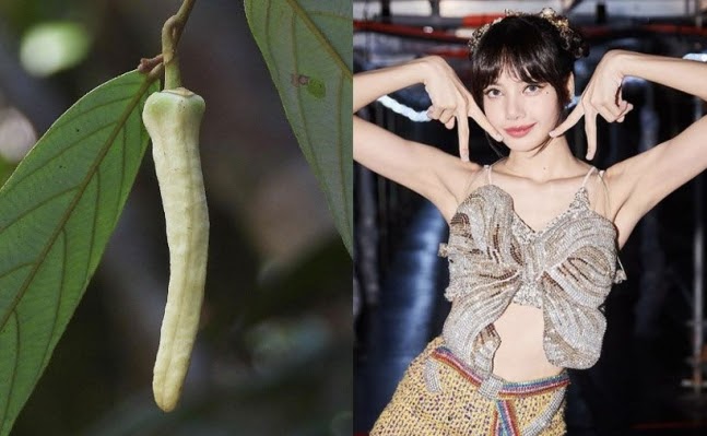 netizenbuzz.blogspot.com