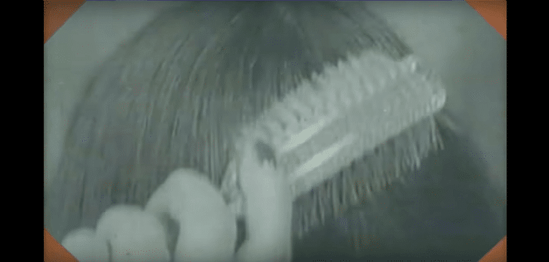 mushroom11 The Disturbing Meaning of KrainaGrzybowTV (Mushroomland) : The Creepiest Channel on YouTube mushroom11 The Disturbing Meaning of KrainaGrzybowTV (Mushroomland) : The Creepiest Channel on YouTube