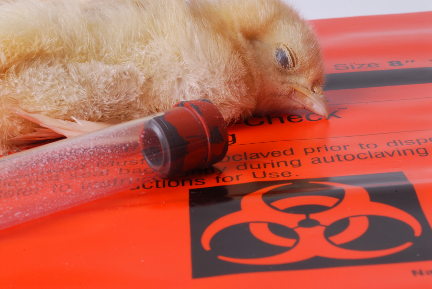 chemicalviolence.com